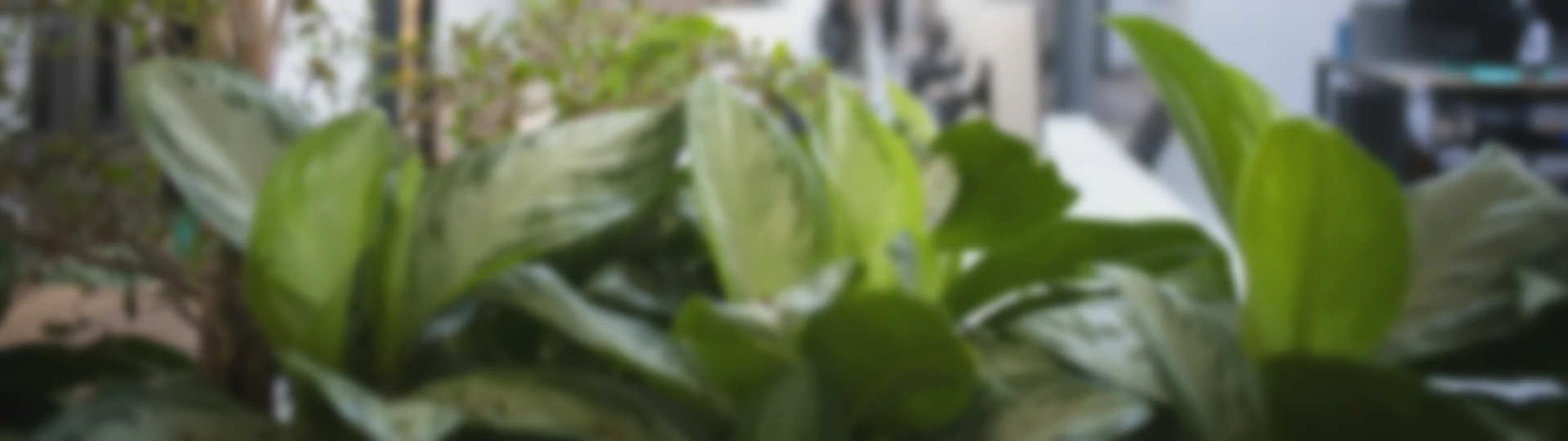 DE&I Workshop with Voice At The Table