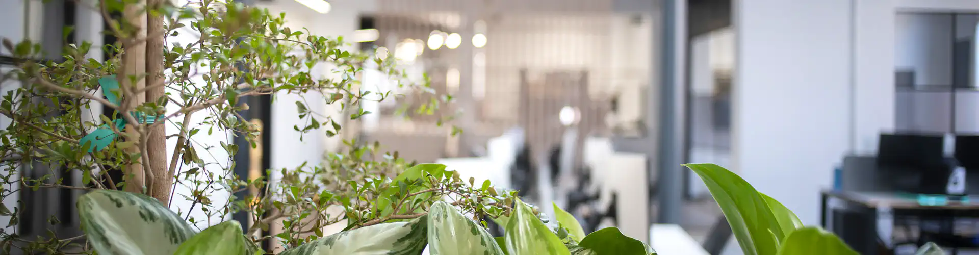 DE&I Workshop with Voice At The Table