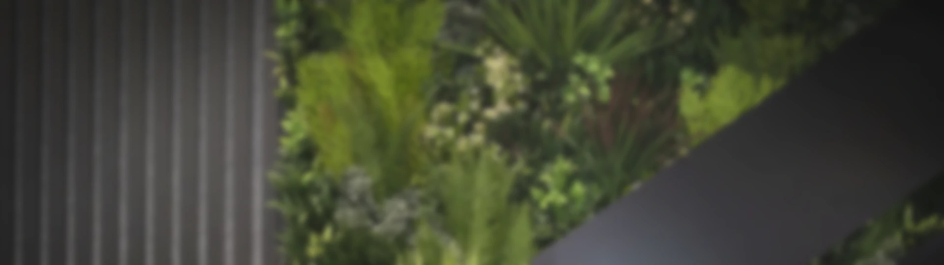 Celebrating Earth Month 2023 at Firesprite