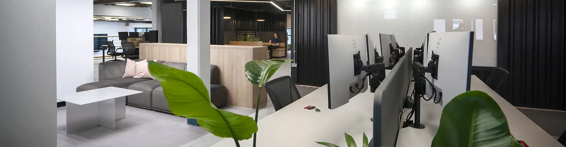 Meet the Sprites: Zaid Shaikh