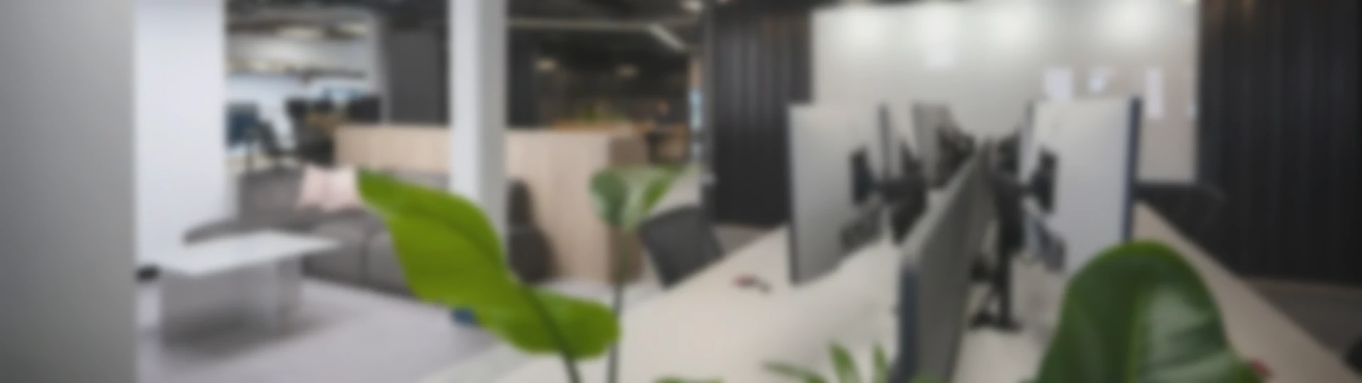 Meet the Sprites: Zaid Shaikh